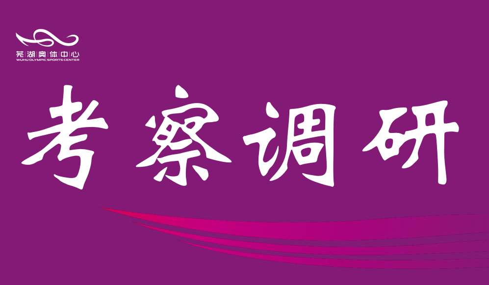 芜湖市政协调研pg少林足球中心