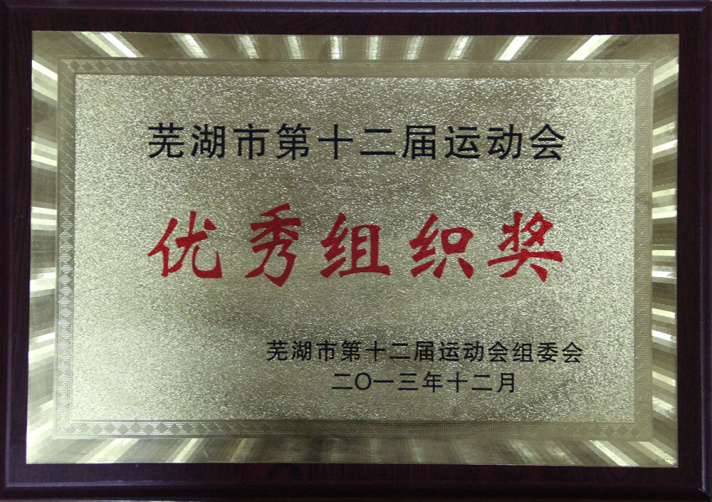 优秀组织奖
